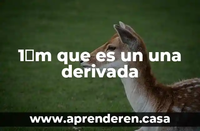 1Μm que es un una derivada