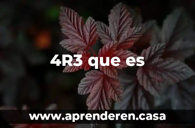4R3 que es