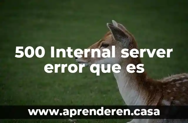 500 Internal server error que es