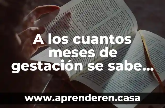 A los cuantos meses de gestación se sabe que es