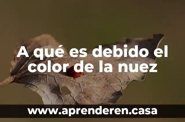 A qué es debido el color de la nuez