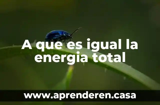 A que es igual la energia total