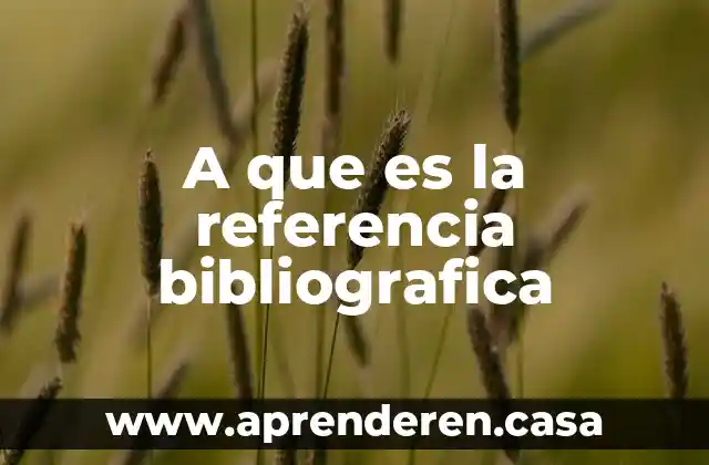 A que es la referencia bibliografica