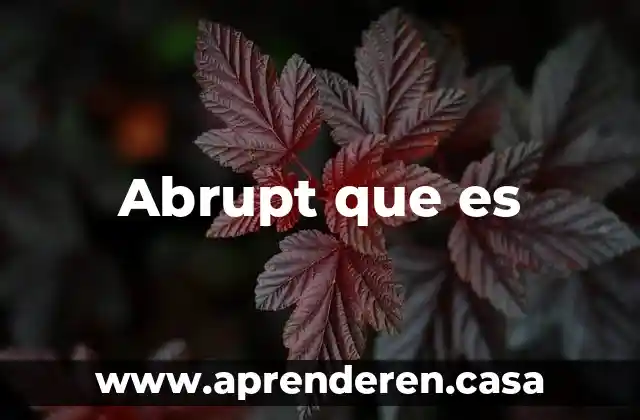 Abrupt que es