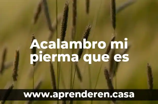 Acalambro mi pierma que es