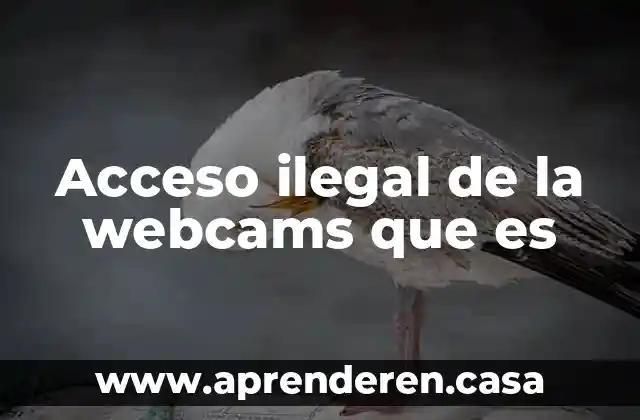 Acceso ilegal de la webcams que es