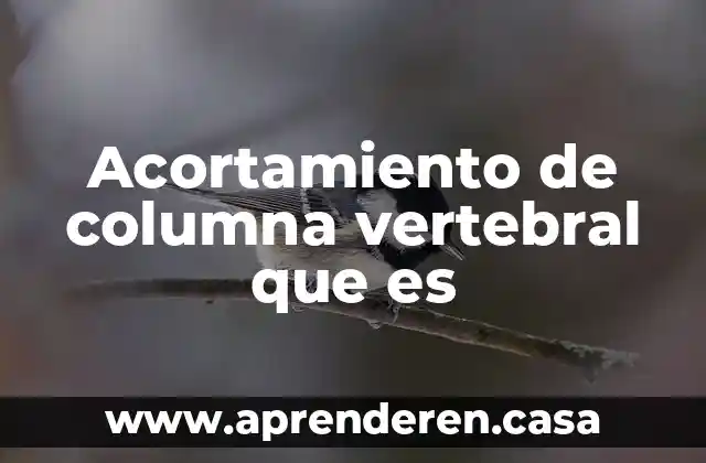 Acortamiento de columna vertebral que es