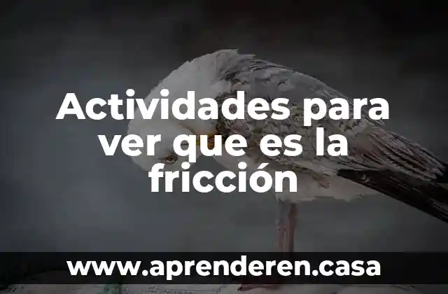 Actividades para ver que es la fricción