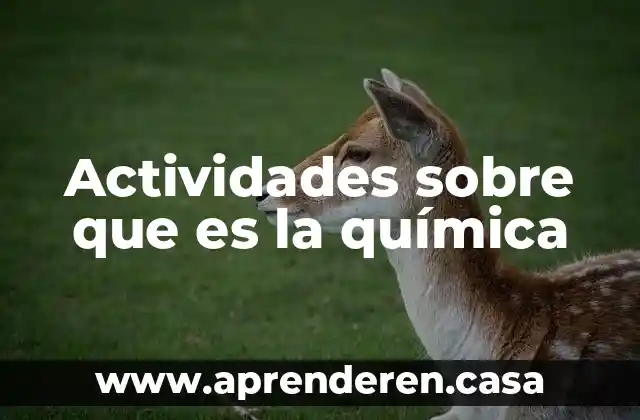 Actividades sobre que es la química