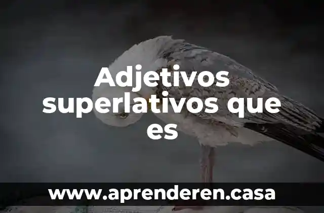 Adjetivos superlativos que es