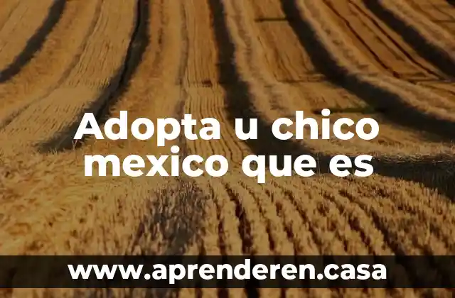 Adopta u chico mexico que es