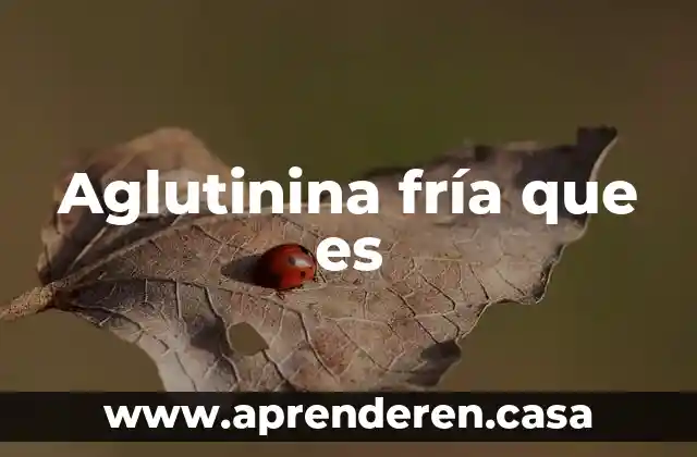 Aglutinina fría que es
