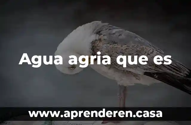Agua agria que es