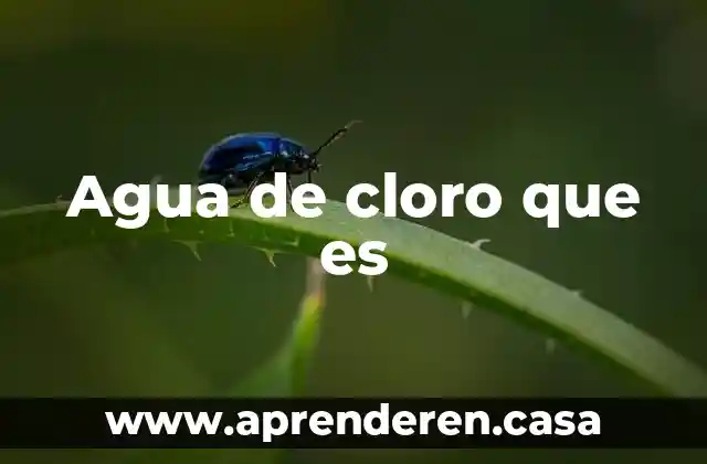 Agua de cloro que es