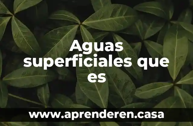 Que es perforacion con buque en aguas profundas 5 Aguas superficiales que es