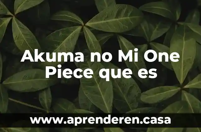 Akuma no Mi One Piece que es