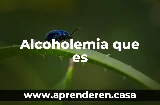 Alcoholemia que es