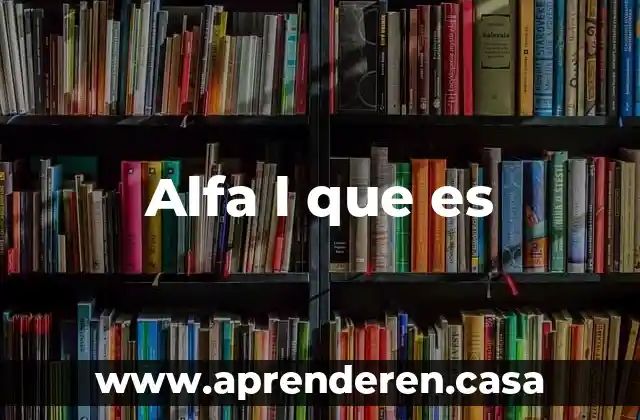 Iniciativas de acceso a la informacion que es l 3 Alfa l que es