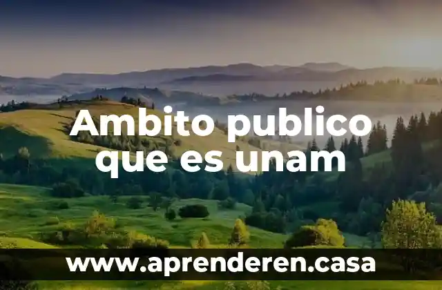 Ambito publico que es unam