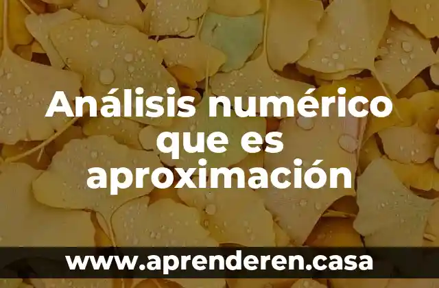 Análisis numérico que es aproximación