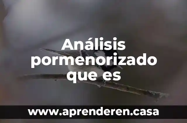 Que es un plan de analisis 3 Análisis pormenorizado que es