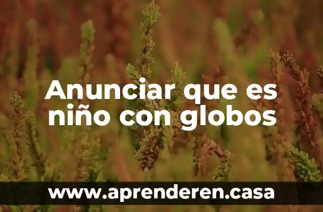 Que es el niño holandes geo tormenta 6 Anunciar que es niño con globos