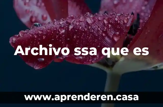 Archivo ssa que es