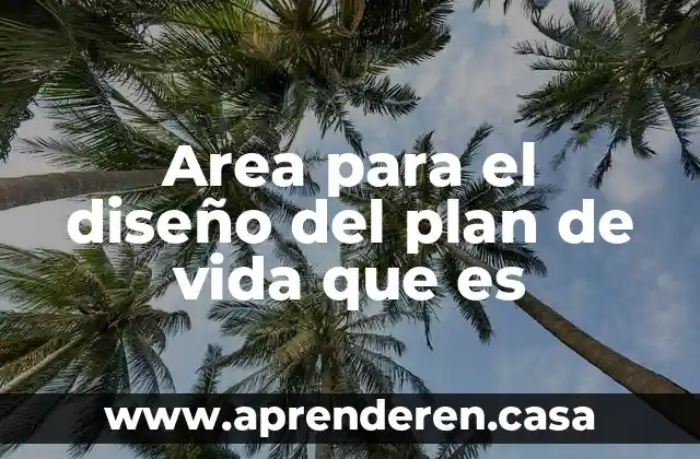 Area para el diseño del plan de vida que es