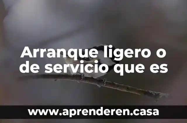 Arranque ligero o de servicio que es