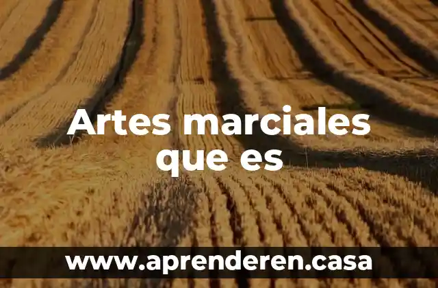 Que es un profesional en artes 6 Artes marciales que es