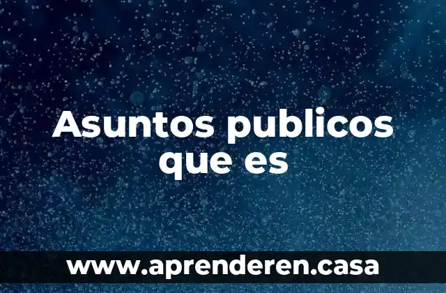 Asuntos publicos que es