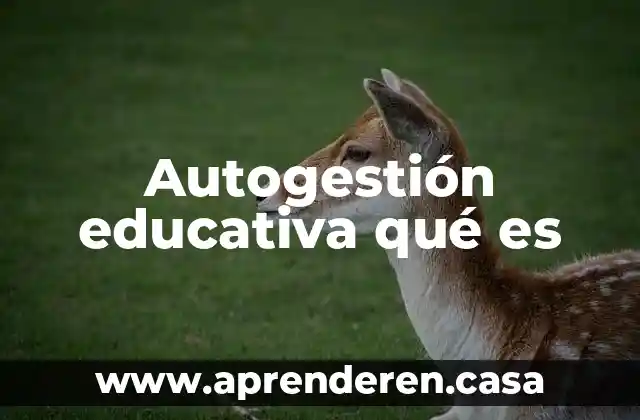 Que es la ingenieria educativa 4 Autogestión educativa qué es