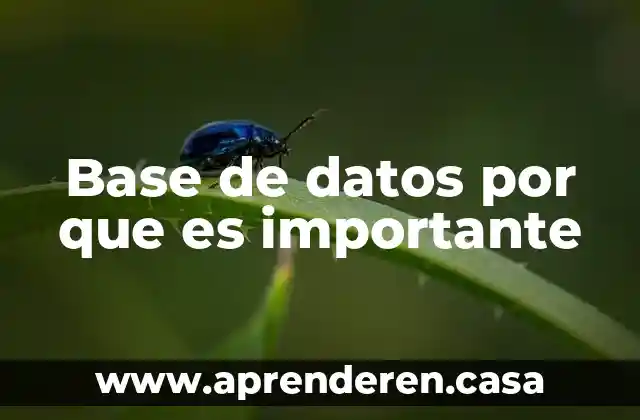 Base de datos por que es importante