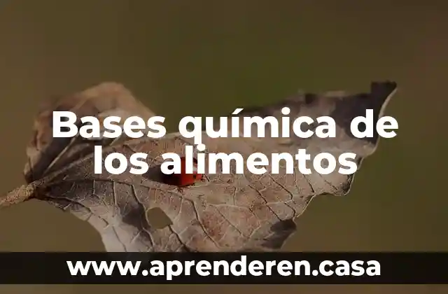 Bases química de los alimentos