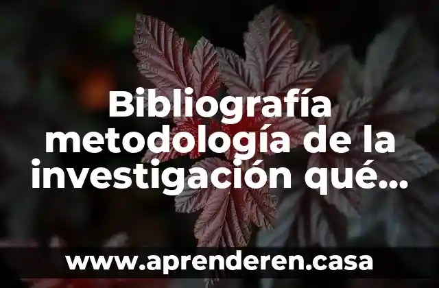 Bibliografía metodología de la investigación qué es
