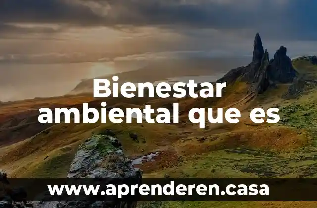 Bienestar ambiental que es