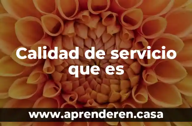 Calidad de servicio que es