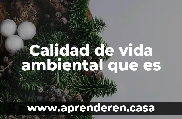 Calidad de vida ambiental que es