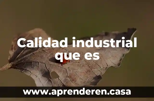 Calidad industrial que es