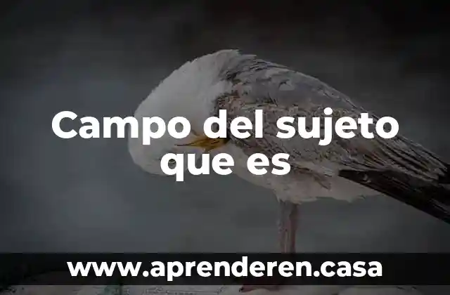 Que es investigacionde campo 6 Campo del sujeto que es