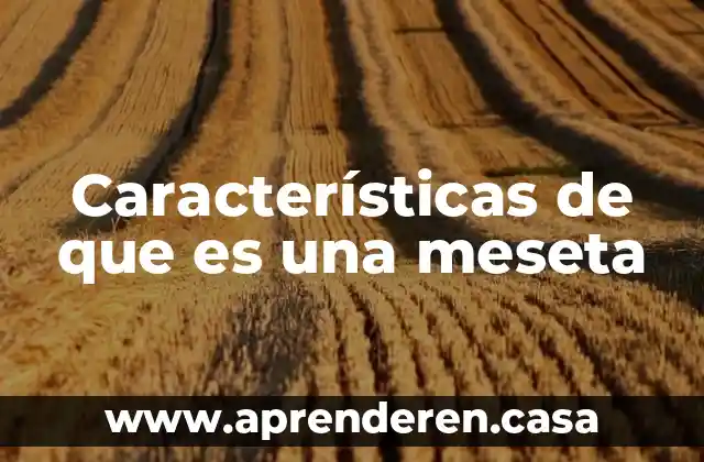 Que es la anti publicidad y sus caracteristicas 8 Características de que es una meseta