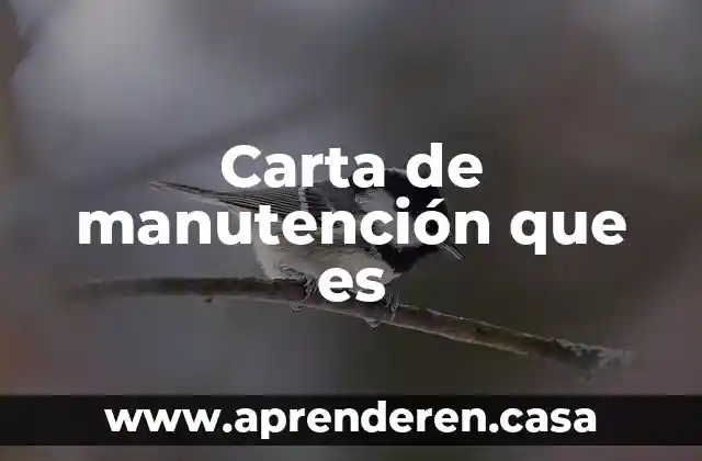 Que es una carta de residencia 5 Carta de manutención que es