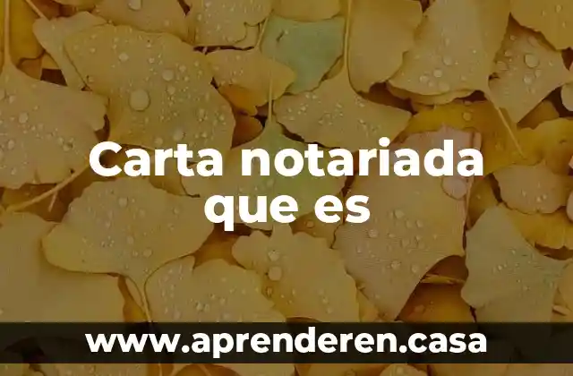 Carta notariada que es