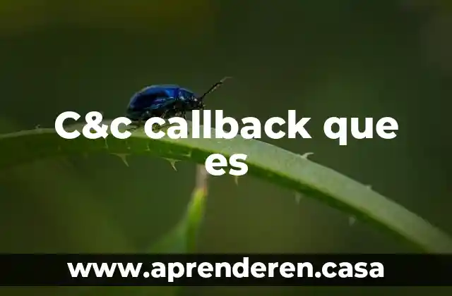 8D tunes que es 6 C&c callback que es