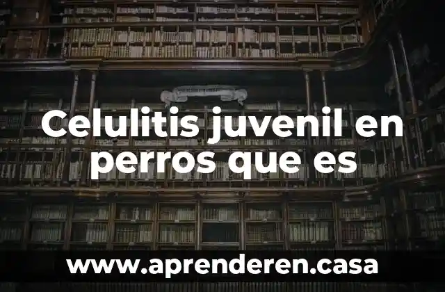 Que es celulitis en los pies 3 Celulitis juvenil en perros que es