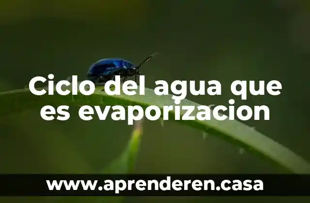 Ciclo del agua que es evaporizacion