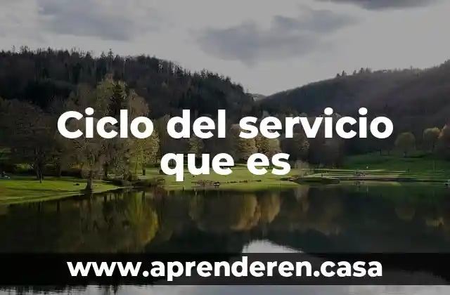 Ciclo del servicio que es