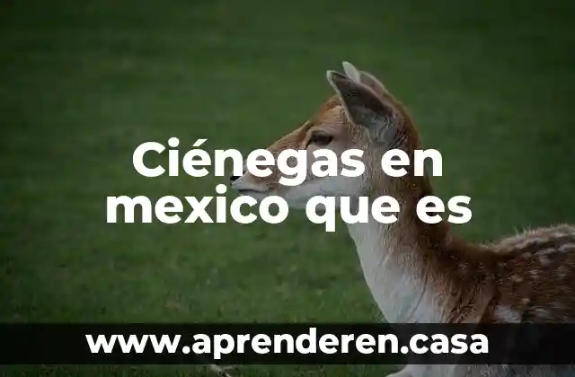 Que es la 72 mexico colonial 6 Ciénegas en mexico que es