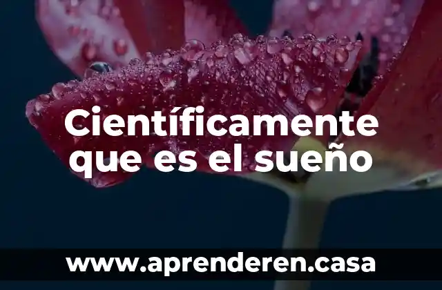 Científicamente que es el sueño