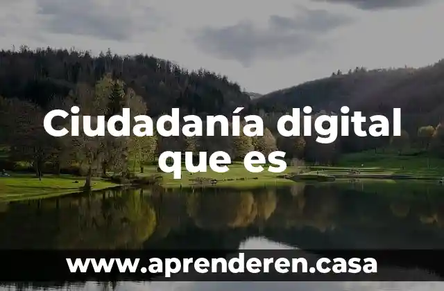 Que es ser una ciudadania conciente 3 Ciudadanía digital que es